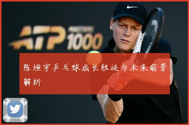 陈垣宇乒乓球成长轨迹与未来前景解析