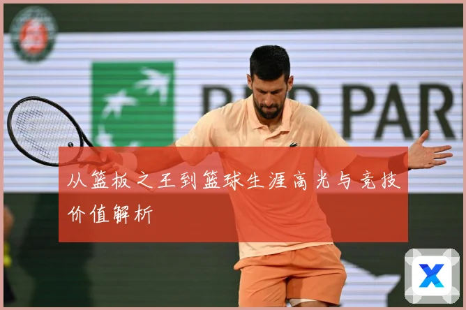 从篮板之王到篮球生涯高光与竞技价值解析