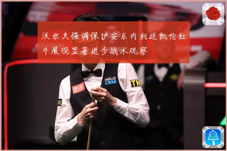 沃尔夫强调保护安东内利迈凯伦红牛展现显著进步战术观察